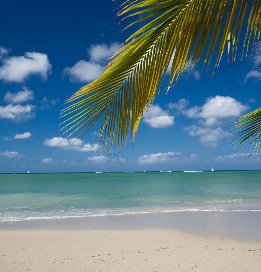 Calabash Cove Resort And Spa - Adults Only Gros Islet Esterno foto